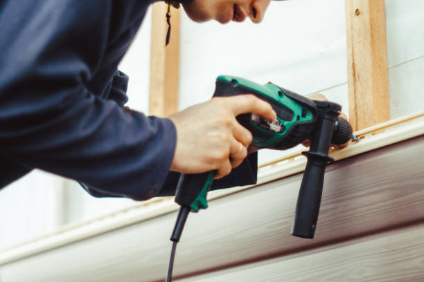 Best Vinyl Siding Installation  in Leadville, CO
